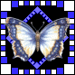 butterfly54576.gif