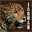 jaguarlg-vi.gif